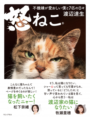 憤怒猫ページ 怒ねこⓇ - 不機嫌が愛おしい僕と7匹の日々 - (渡辺 達生)｜ワニ