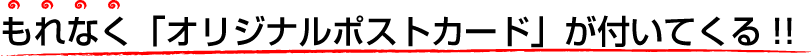 もれなく「オリジナルポストカード」が付いてくる!!